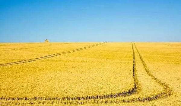 秸稈禁燒監控系統