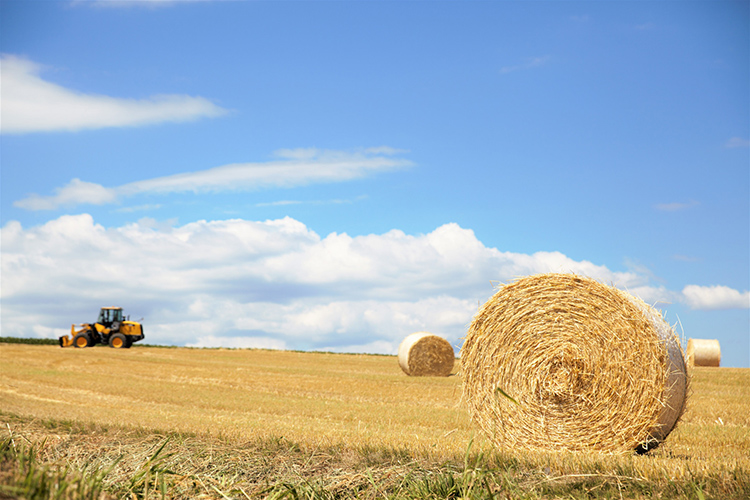 智慧環保.jpg 智慧環保.jpg